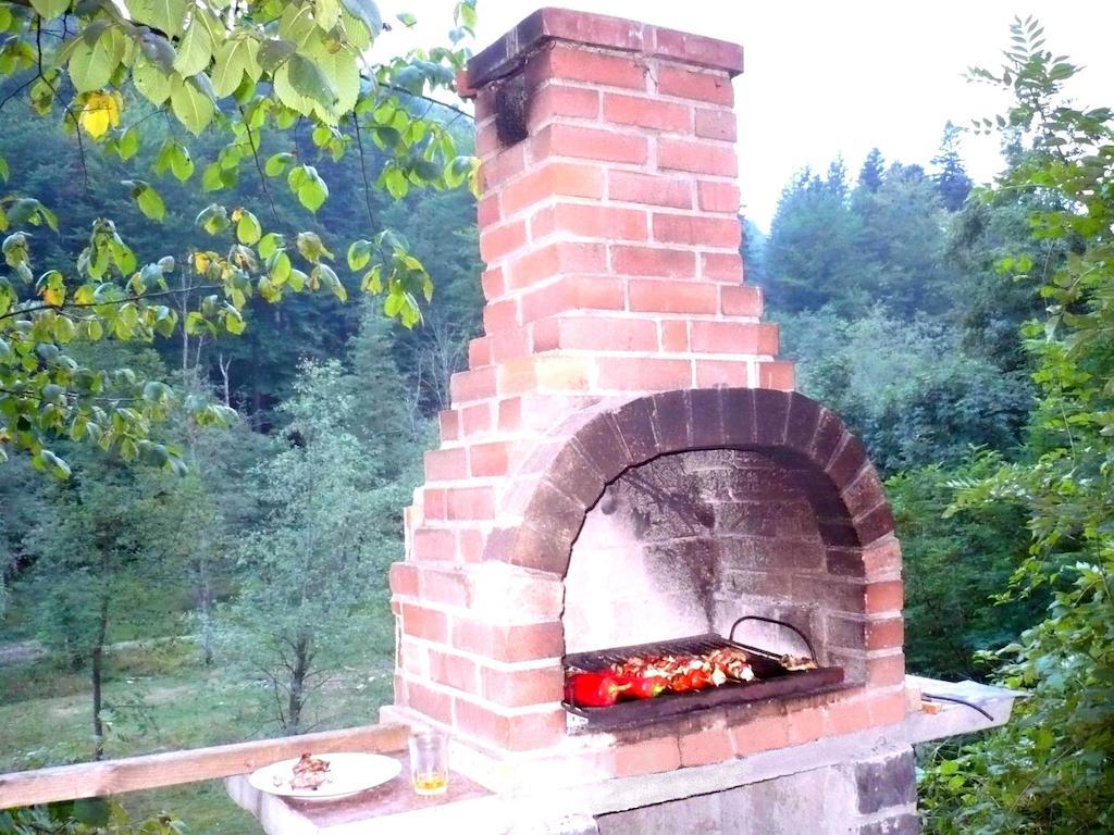 ホテルVila Vanturis シナヤ エクステリア 写真